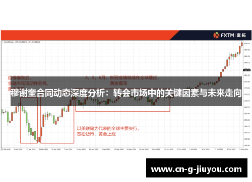 穆谢奎合同动态深度分析：转会市场中的关键因素与未来走向