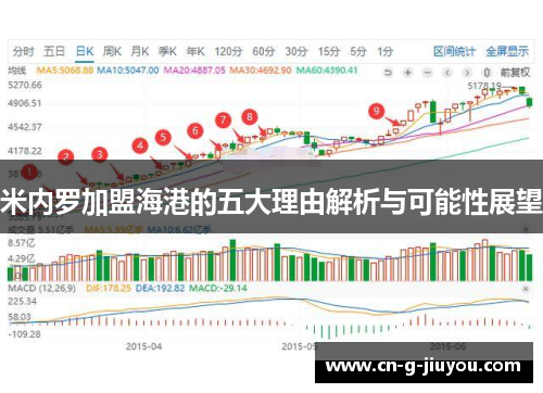 米内罗加盟海港的五大理由解析与可能性展望