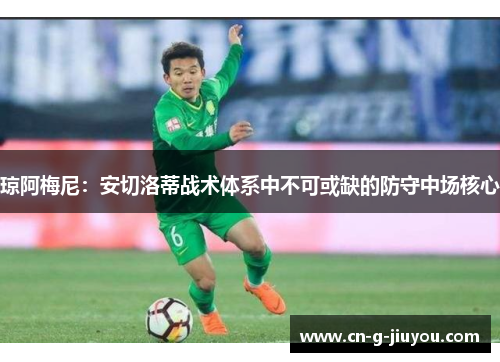 琼阿梅尼：安切洛蒂战术体系中不可或缺的防守中场核心