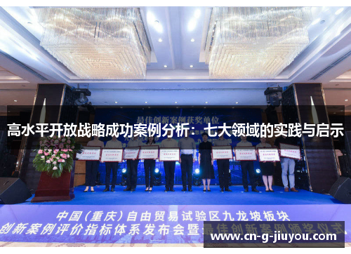 高水平开放战略成功案例分析:七大领域的实践与启示 高水平开放战略成功案例分析:七大领域的实践与启示
